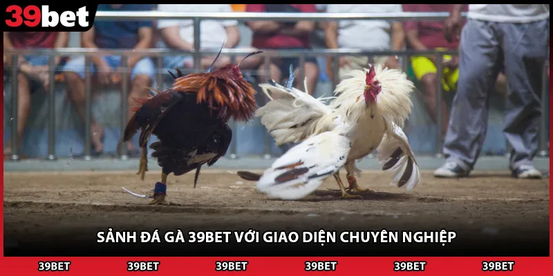 Sảnh đá gà 39BET với giao diện chuyên nghiệp